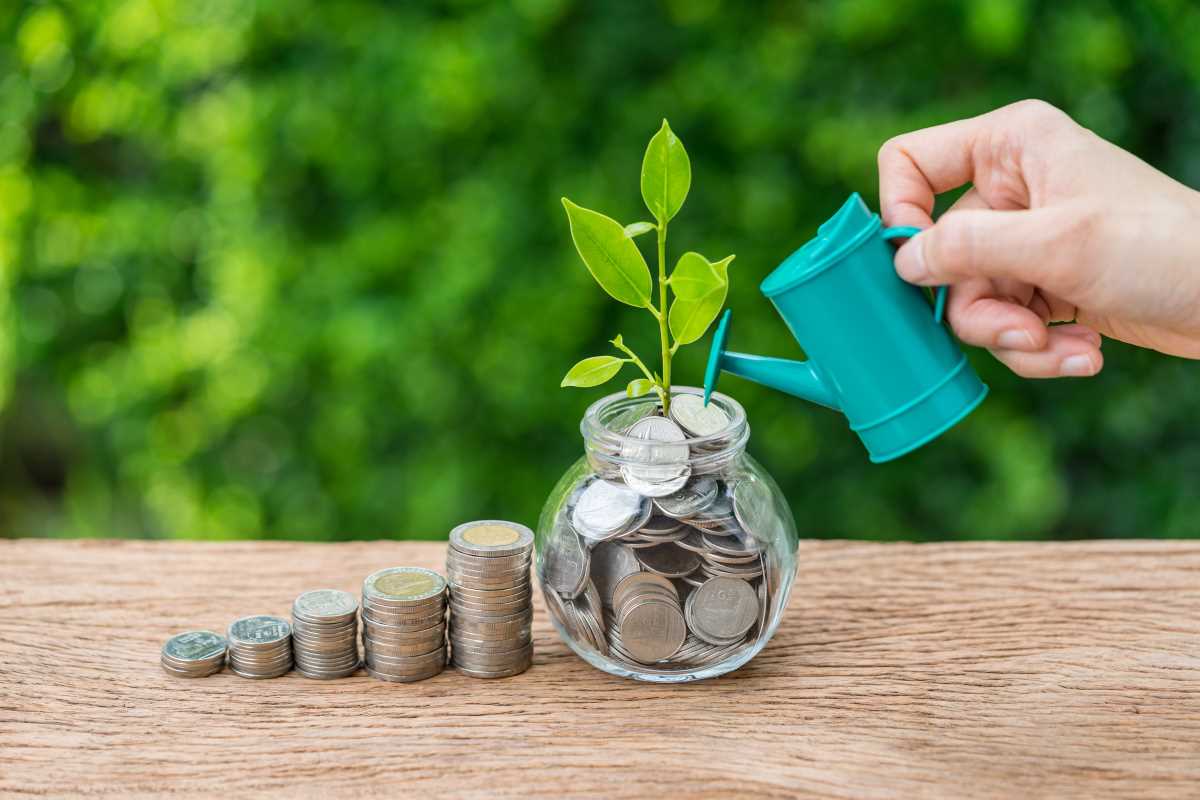 Financial Wellness Habits That Improve Savings Rates and Reduce Long-Term Debt Burdens